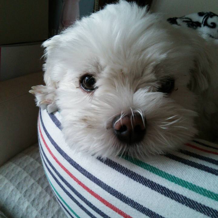 Df0bc710 ab4b 4665 9b95 d90b207c9e05