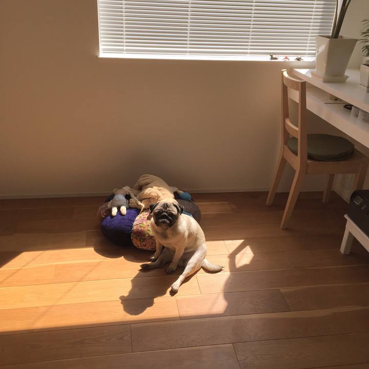 Df0bef86 5ff7 46a9 9cf4 5e1fcd04a7cb