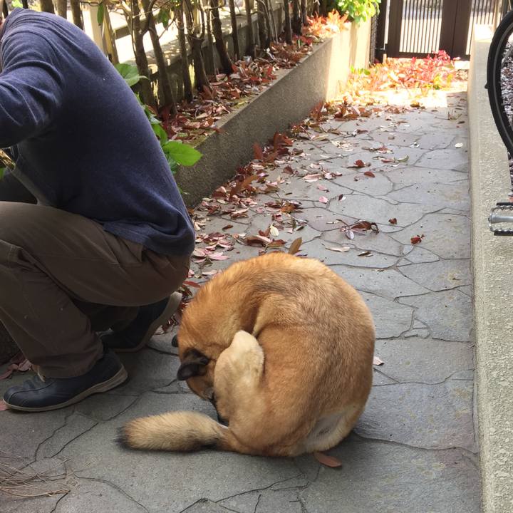 Df0c948d 9085 4d4d 90c5 4ce16bdbfc19