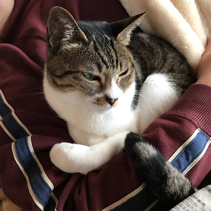 Df0d128a e44e 4ab6 9a98 922d6cd1f328