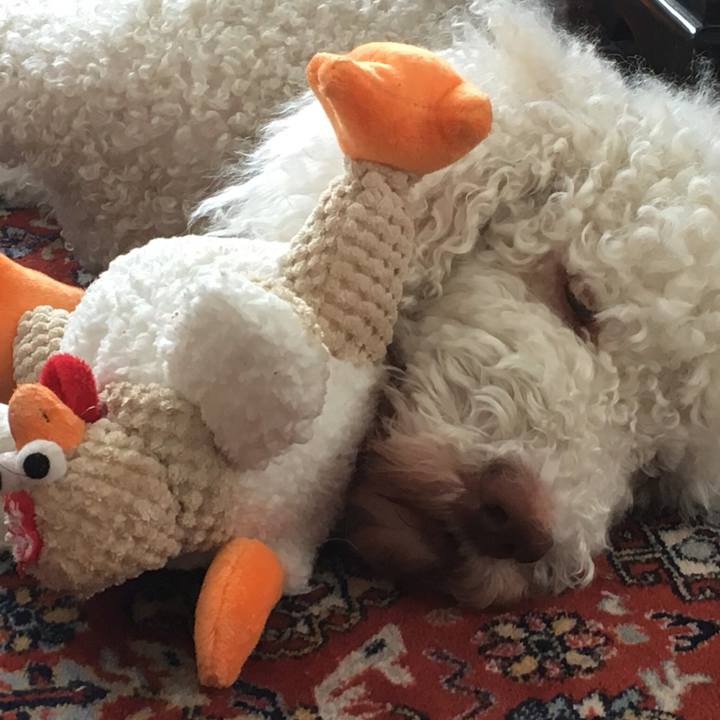 Df0d9229 52ad 4d6f a08b 63e8357b3c82