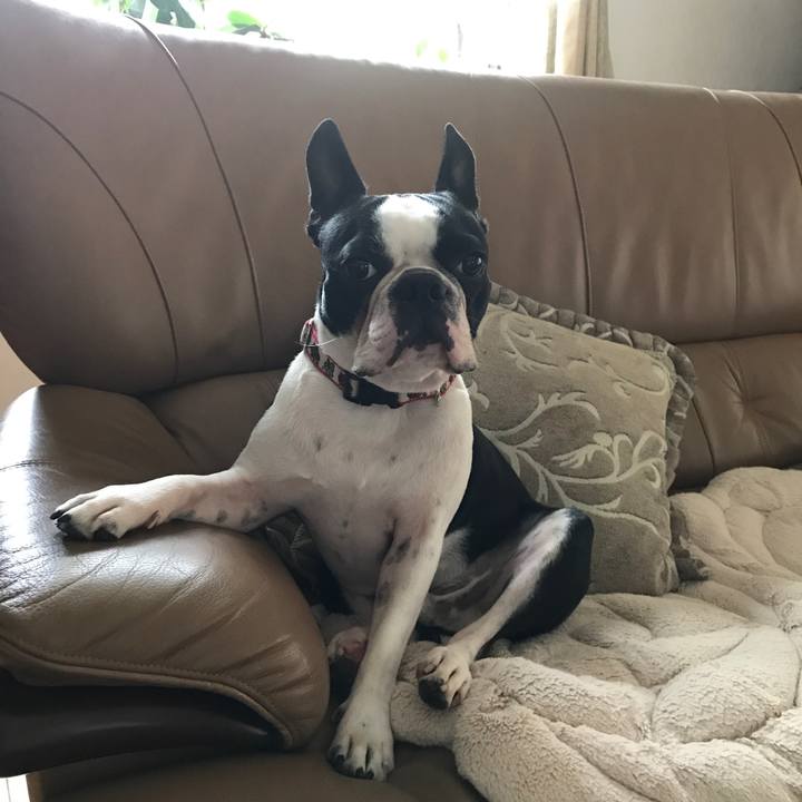 Df0f1708 388f 4d8a 8943 1ab128e574ee