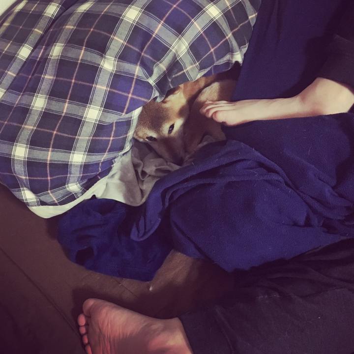 Df0f2950 0ab4 469d b24e ff107d78d463