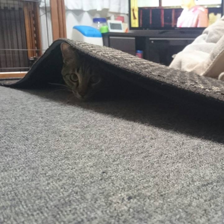 Df0fe5eb 2df1 4e7d 9cd6 ceb4d617d52e