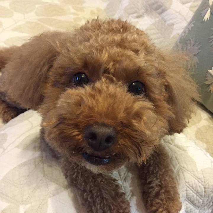 Df0ff090 527d 4c36 b455 c56ea7854df0