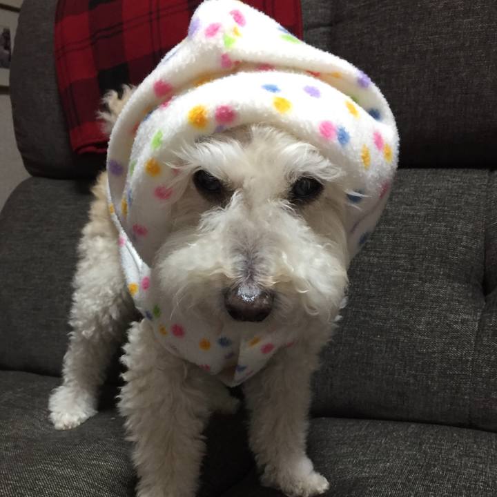 Df0ffa1b d332 4692 8322 a1554cc894df