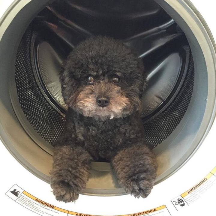 Df108f9a 8f5b 4a90 8888 bb2f064fcc86