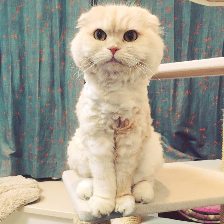 Df11543c 606f 4b6e 985f 31bd6676897c