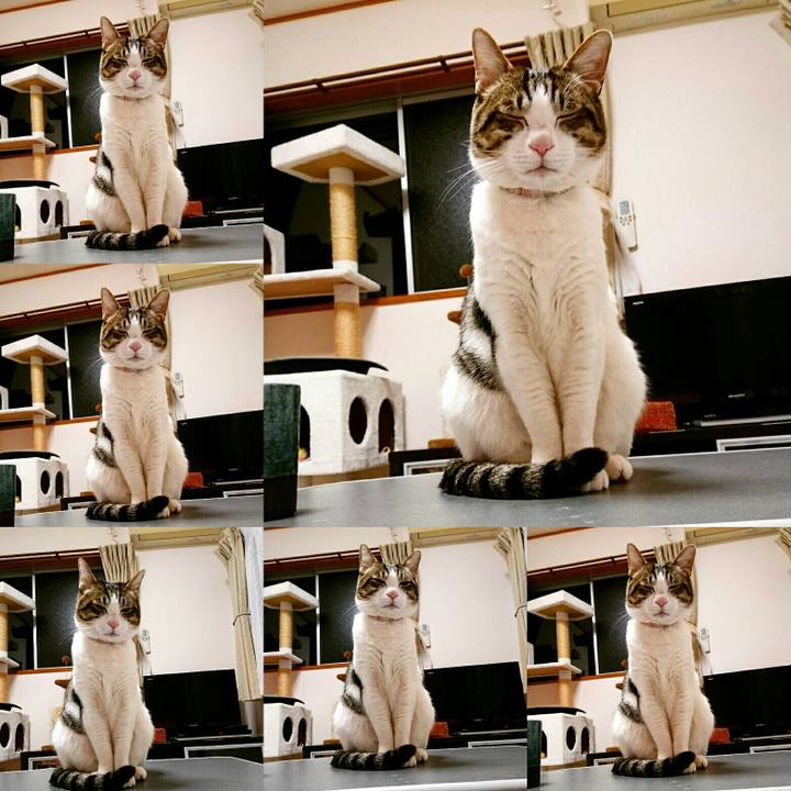 Df11f972 00b1 44a9 b056 42de3a107839