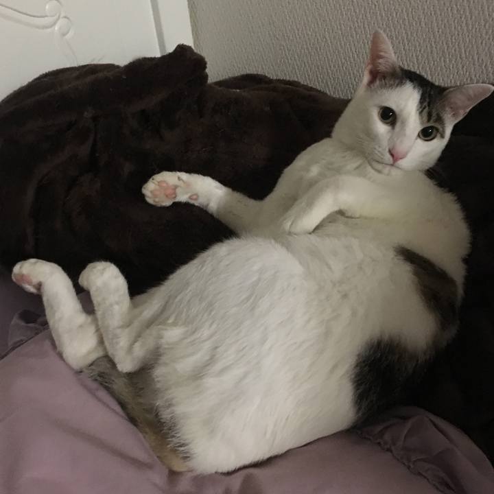 Df123deb 4099 4b31 ae33 cc6afbd969a7