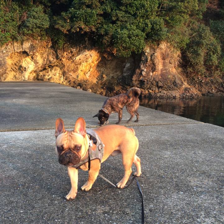 Df12b76d bcb8 479f 9150 bef561b727bd