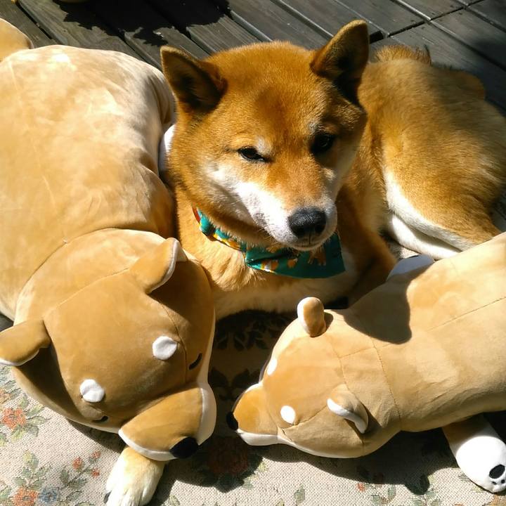 Df12bbf3 0d14 4d59 8cc2 3c907bc5303a