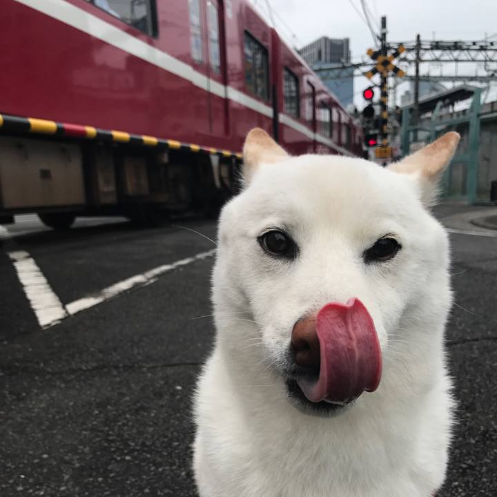 Df136a10 c088 43a0 ac31 13db79dedcc4