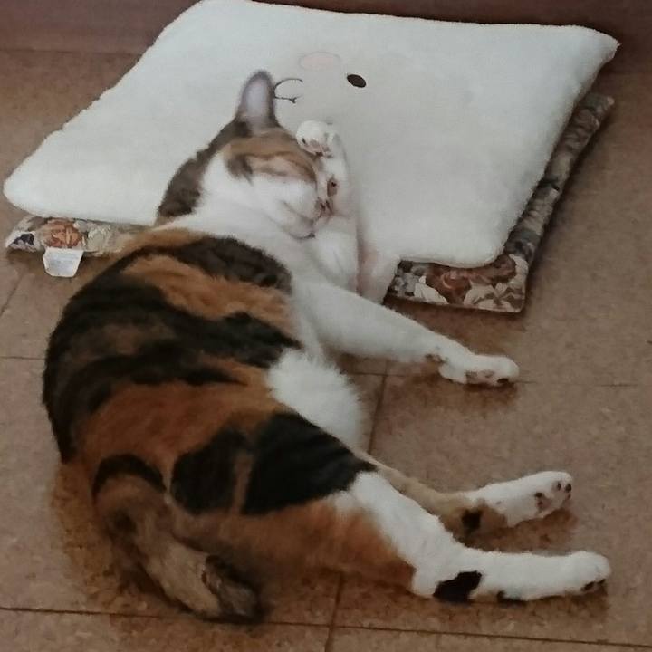 Df136cf9 6aee 4913 bfdf 179743c72bfe