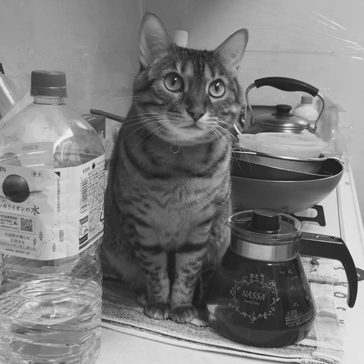 Df14a4b2 dd1c 4dcb ab52 4a7d81594762