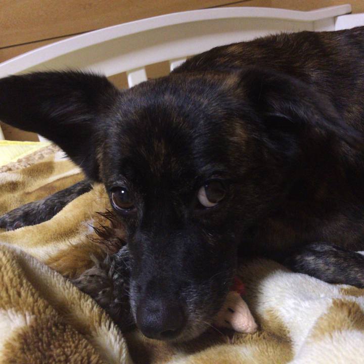 Df1531ee ddd0 4007 bf85 d5d96730b5f6