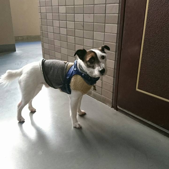 Df1533a1 a53d 4842 a5ce 5f925669ed1b