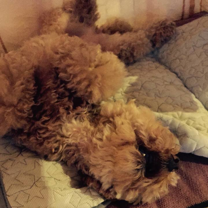 Df153ada 6b67 42f9 8ed2 b594fae43483