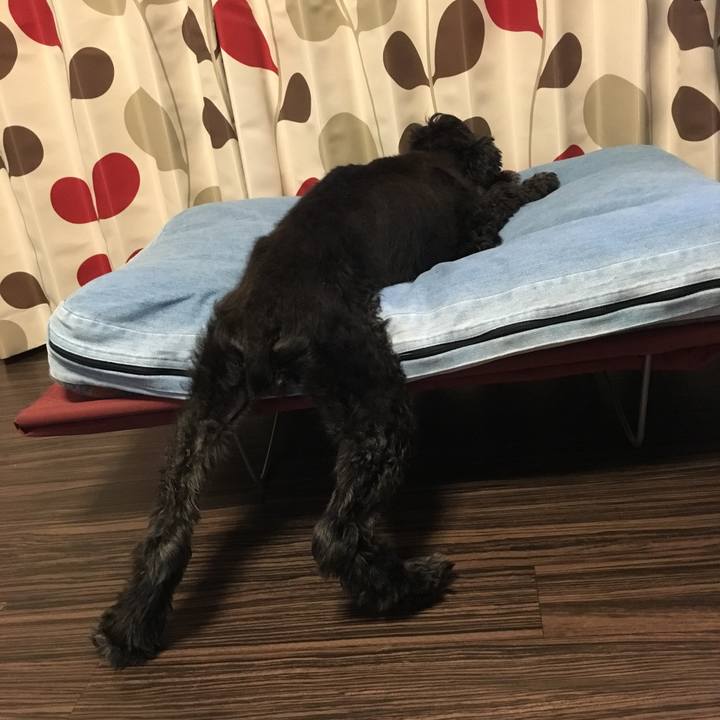 Df15831e a0e0 49a9 b6f7 ee328b9e9d36