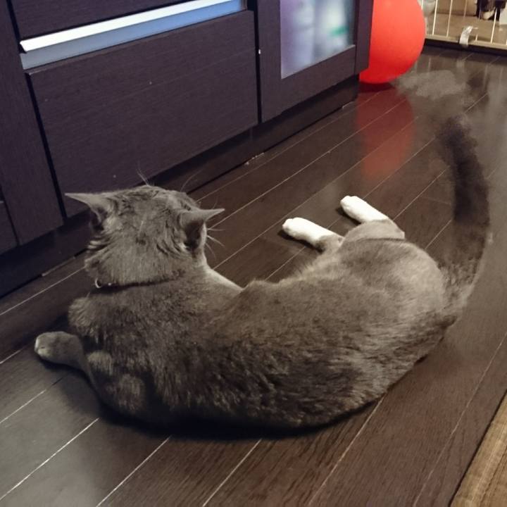 Df16efe6 d8b4 498d 8767 97d9699fd23f