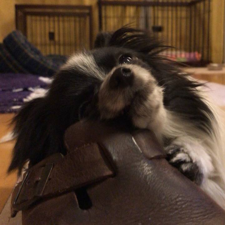 Df176f1a 91e7 483c b8f1 050442f01a99