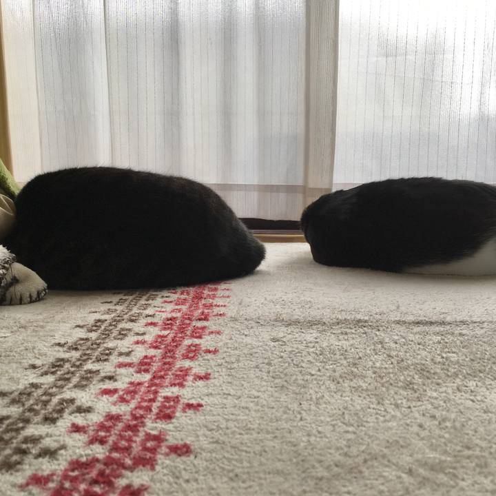 Df1788c2 29ad 4246 a8e8 2527d330ff1a