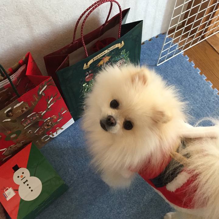 Df17a852 2494 4826 b90a 5c17855906bf