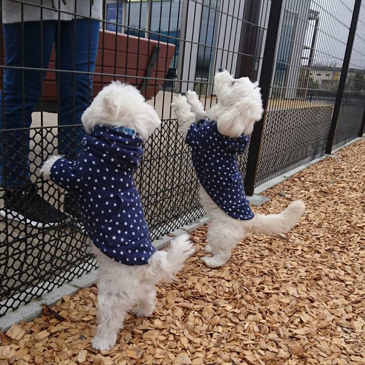 Df17f3c0 fa6f 40d9 9fc4 947888869bae