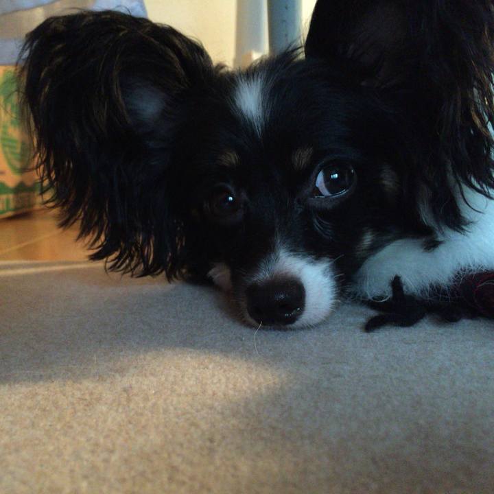 Df17f567 e508 4544 b066 a526dbd8b0a5