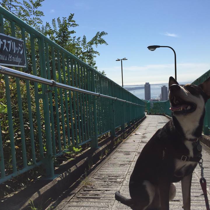 Df180b12 4715 4744 a20e 8b3e8005ea60