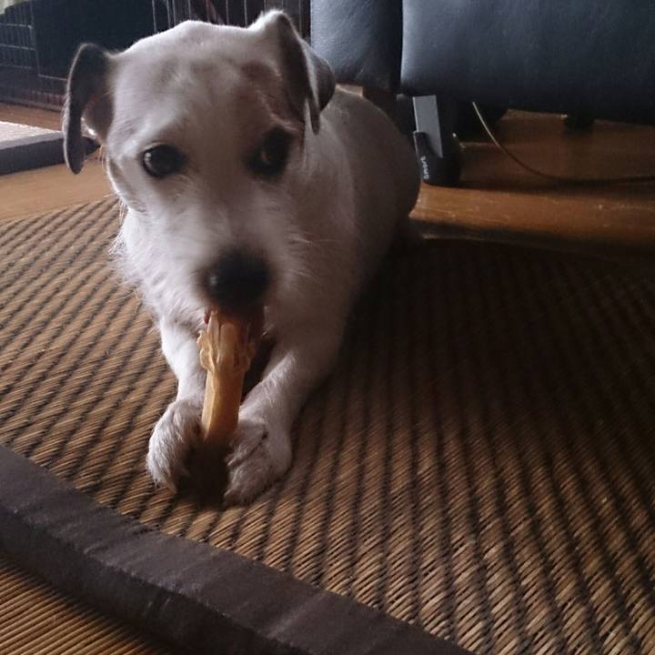 Df1814f4 c5fc 409f 8c4b f4bdab8bad8e