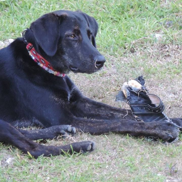 Df183106 071d 4878 9b2f 9d675ba0dc1e