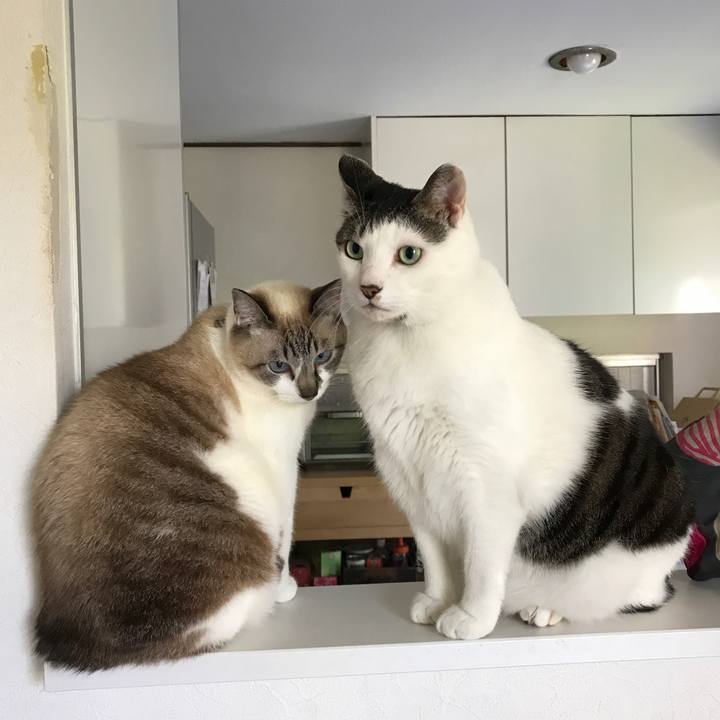 Df184c64 dcf7 4461 812d c246a586d9ae