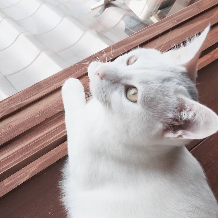 Df188d82 e019 49f0 9b3e f3498b3a7cab