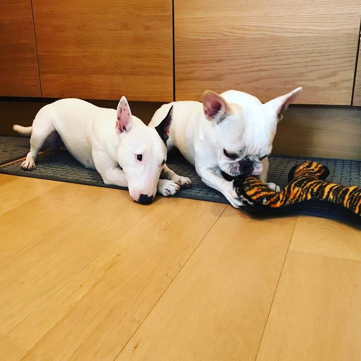 Df18c985 5f00 4dc5 81b5 f219e13242a4