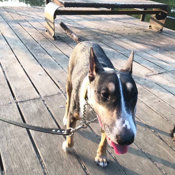 Df18e345 453a 4596 9122 64a72670f18e