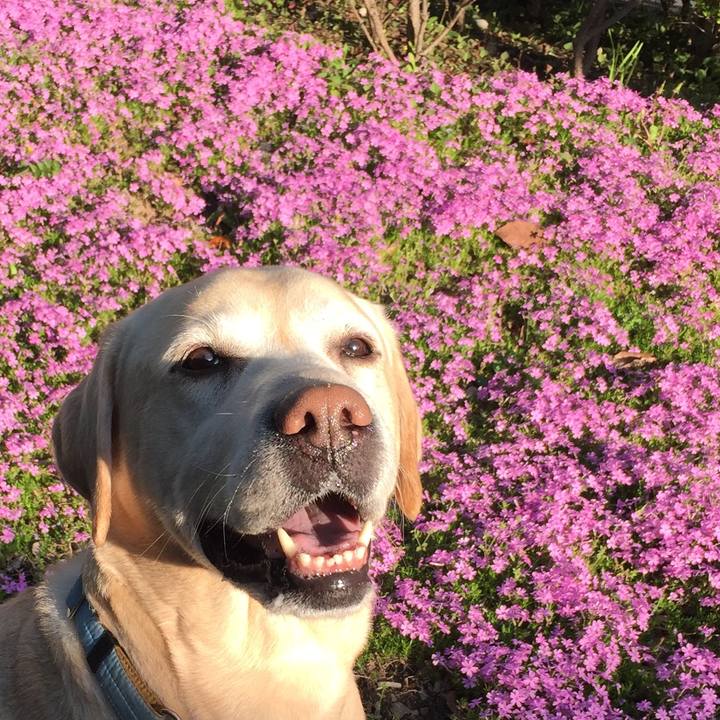 Df18f100 7827 42e1 b6c1 e30fab7f69d5