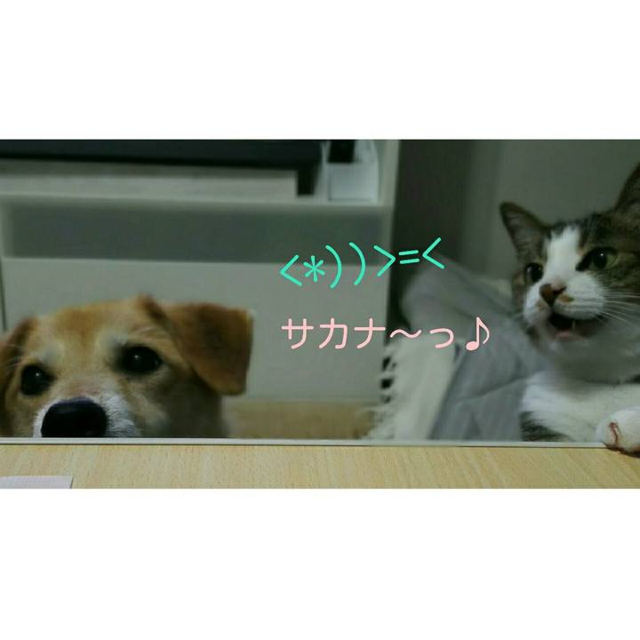 Df193c75 7410 43cc 806e 1a100ece1bbb