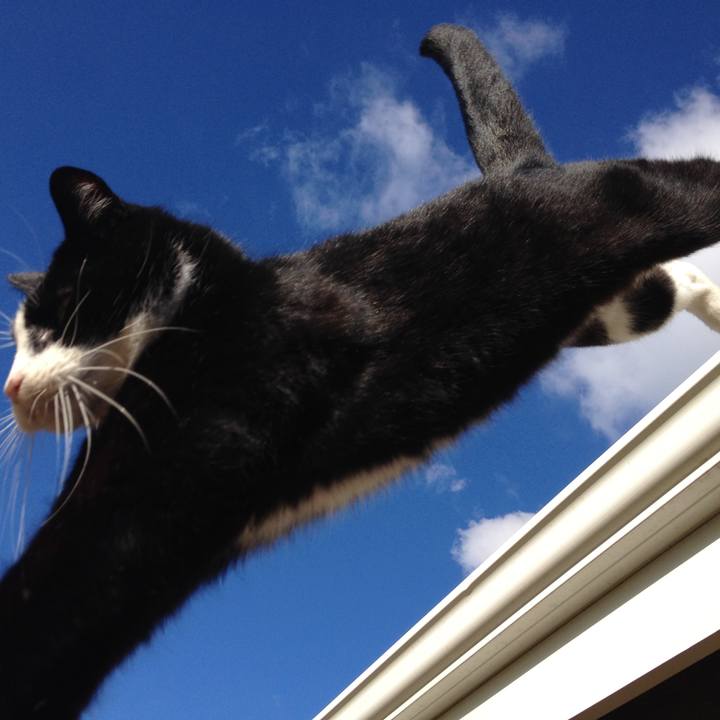 Df19f5ef 50de 401a b063 598613af29ea