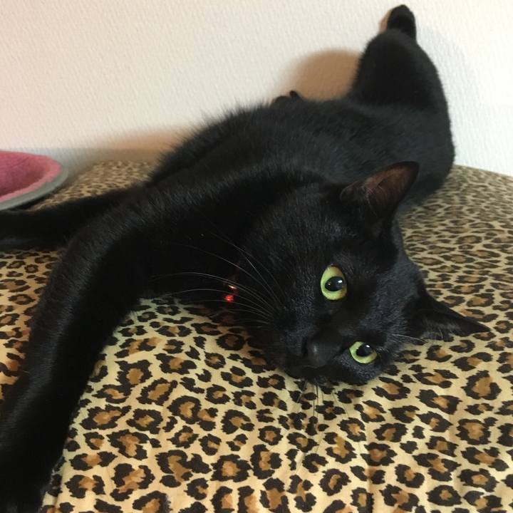 Df1b649e c6d9 4eb1 9308 2b38c38cd15b