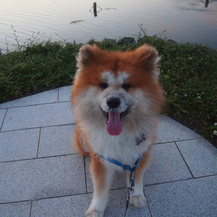 Df1b8098 b232 434d a59a e20e95d6b593