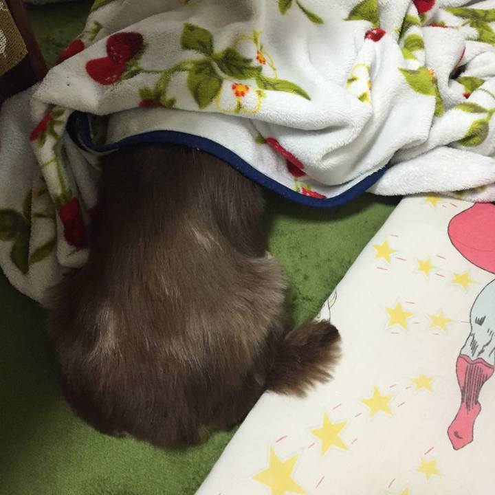 Df1bafb3 d956 43d4 ae66 5a66dc1766f7