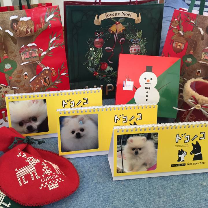 Df1c4e96 0b2a 431d a798 8846ddd0dc61