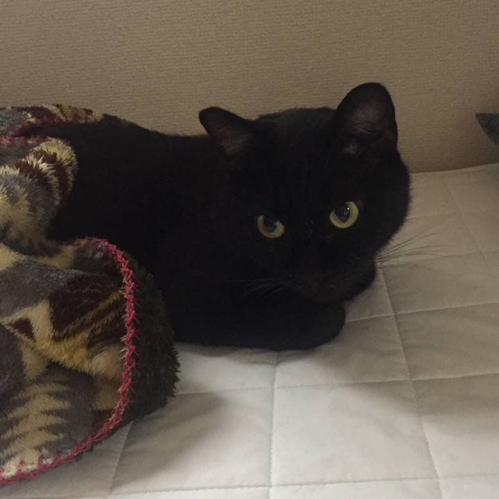 Df1c59f6 48e2 4bfe b5e2 26f45a031e1a