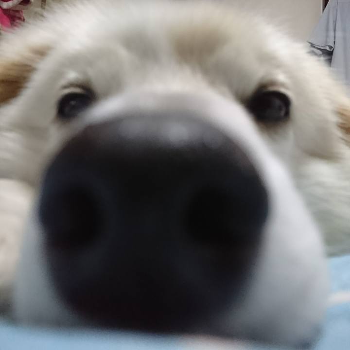 Df1d5f76 11fa 4074 a2d3 56b818afdf6d