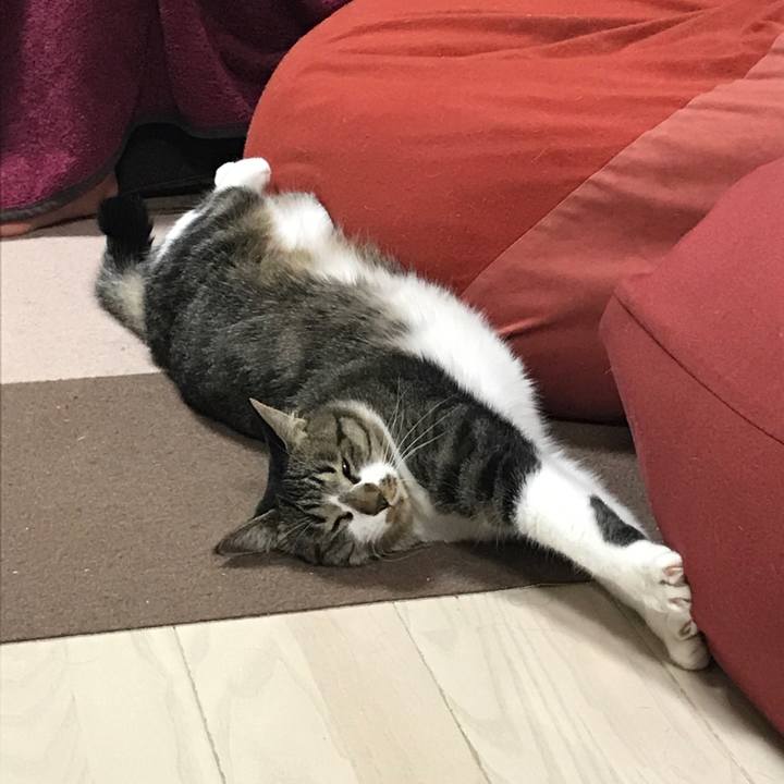 Df1d6fb1 eba0 40a4 a5bf 7e80679c872d