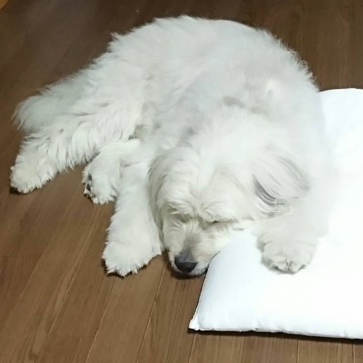 Df1ddfa1 d2b5 4637 a9fb 89ebb5e27726