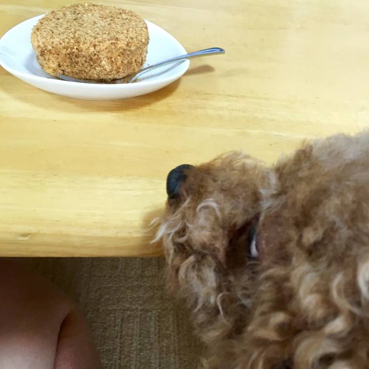 Df1e0ab5 05ef 48d7 83fd 7619c37b081a