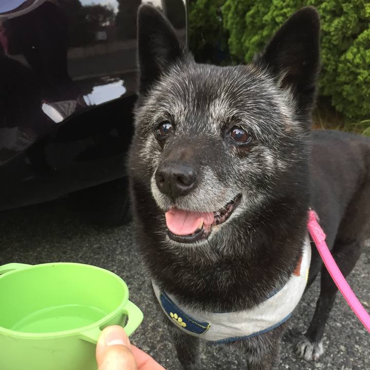 Df1e7a10 fc92 450f b5a6 c4a2c8170ec7