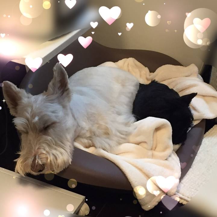 Df1f0c64 902b 42c7 ad8d cf78a3f970f0